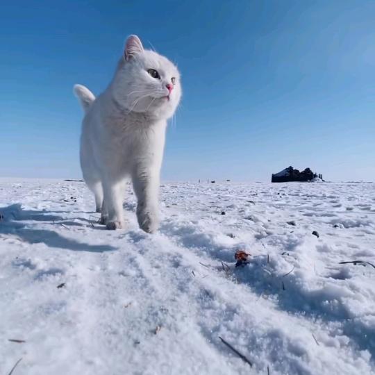 回忆だい只在一瞬间