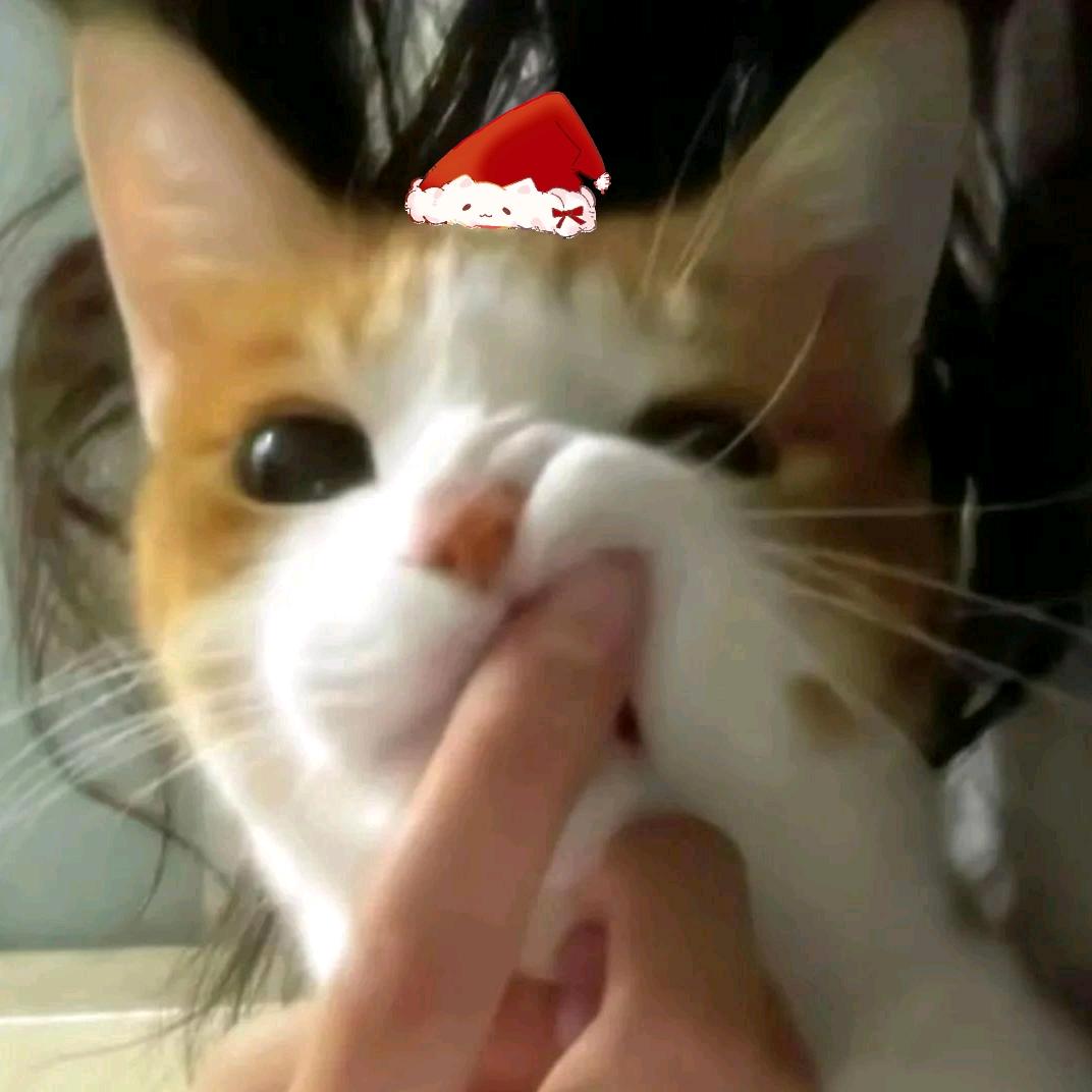 番茄🍅mer