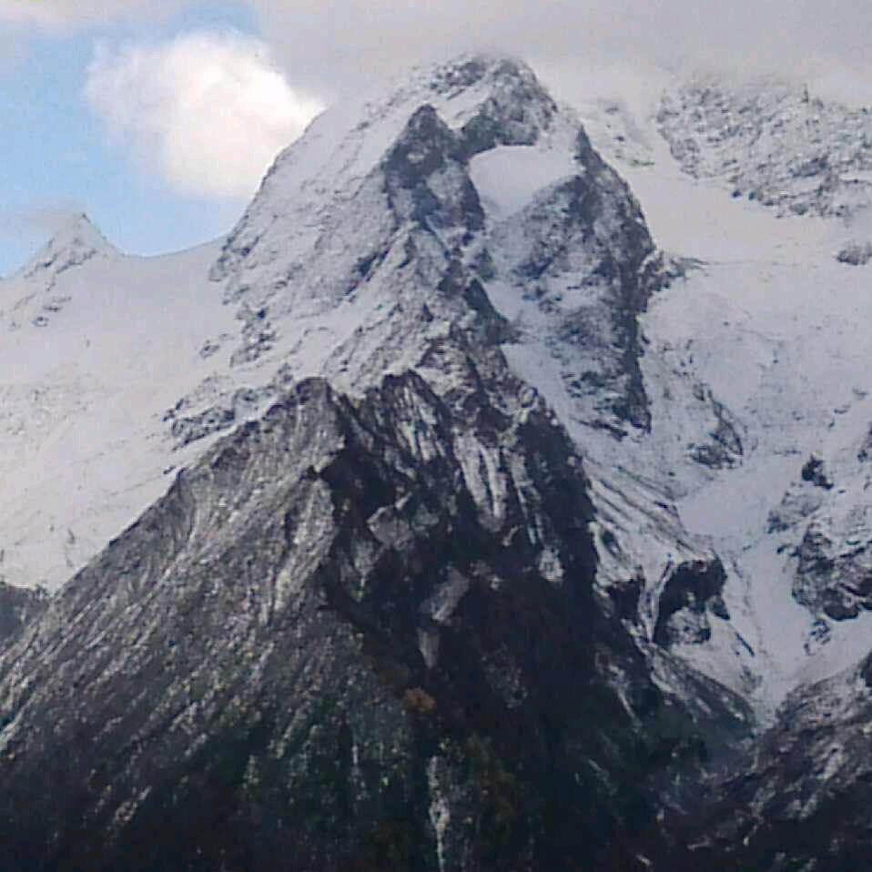 雪枫