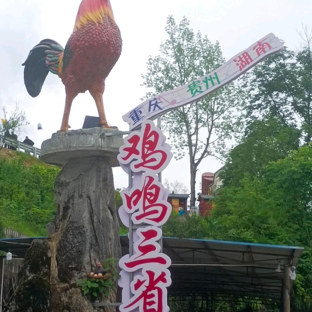 钓鱼人龙🕵友