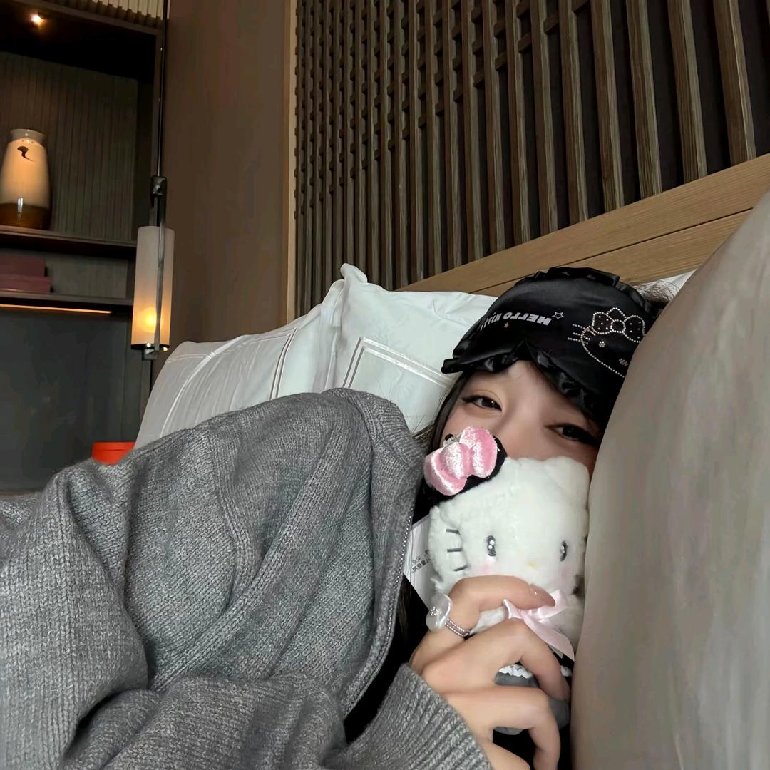 ㅤㅤㅤ暹罗猫头像