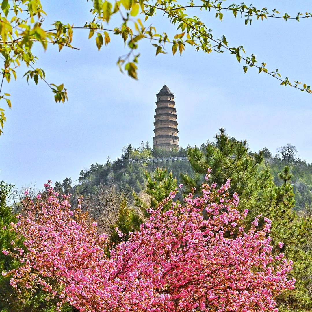 摄影师小白