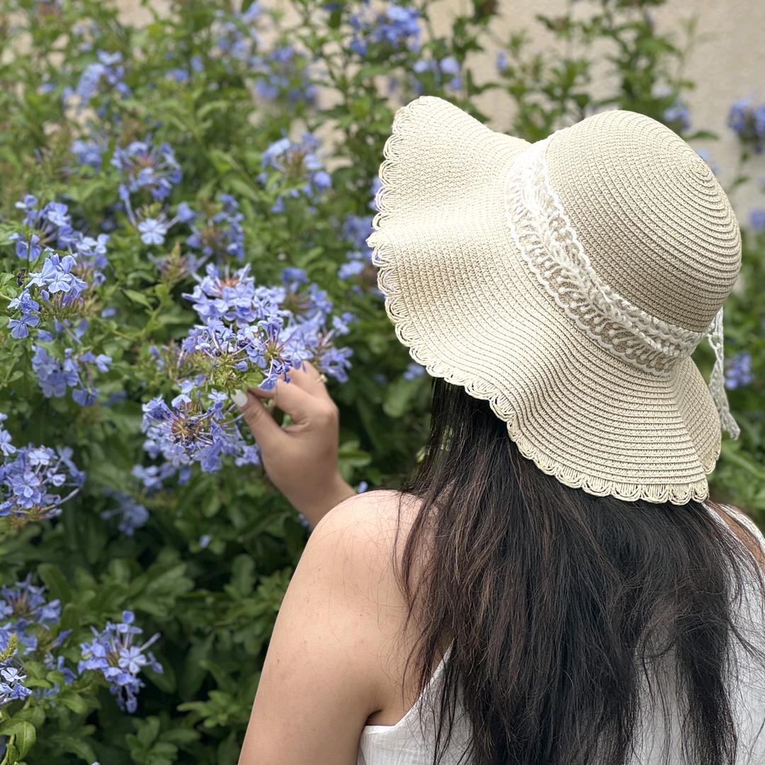 琴儿（累成🐶）