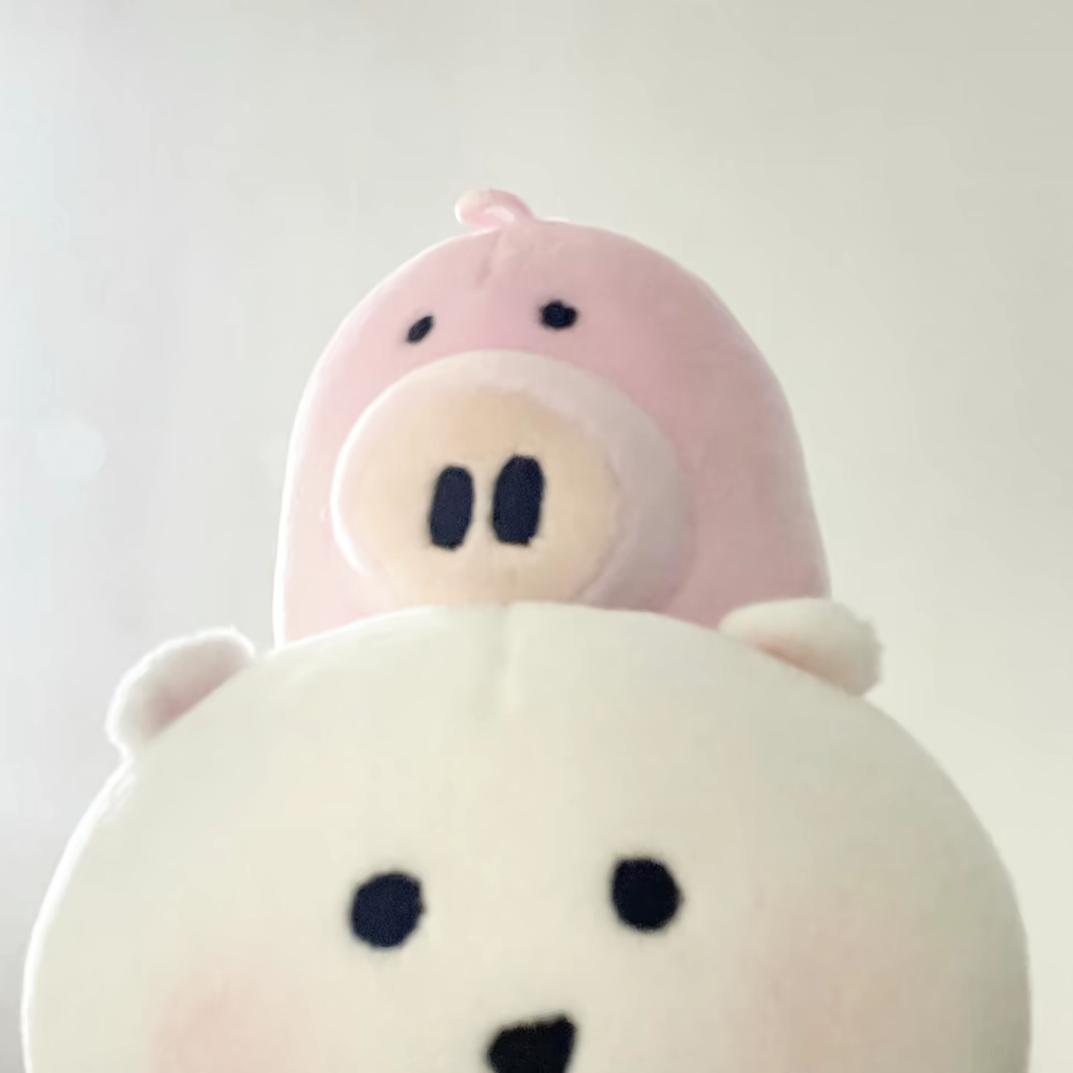 萌主梅