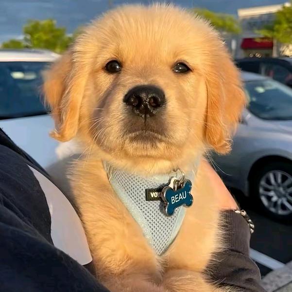 平价精选百货战