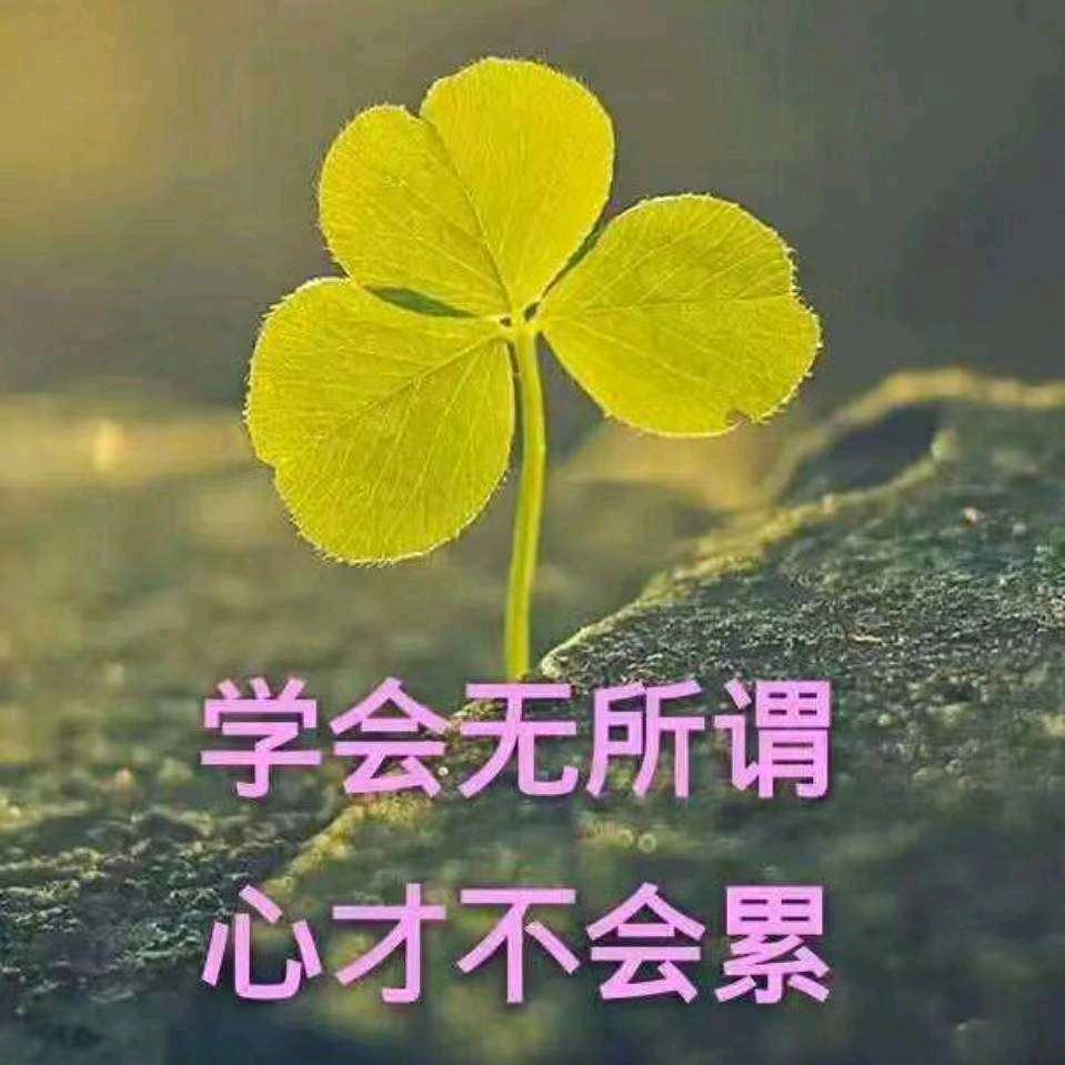 放下所有，做好自己！