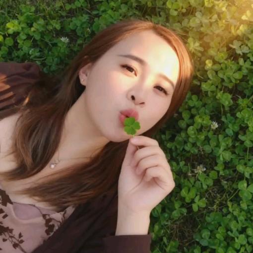 aa丢了幸福的猪