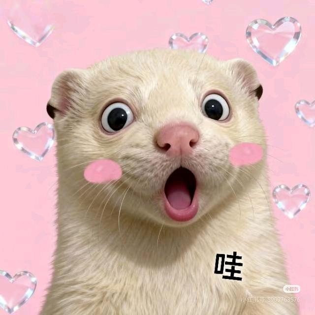 iL