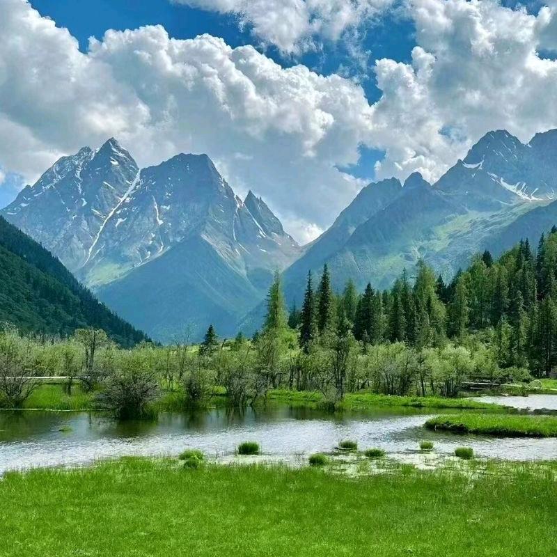 💞✨余生只爱财✨💞