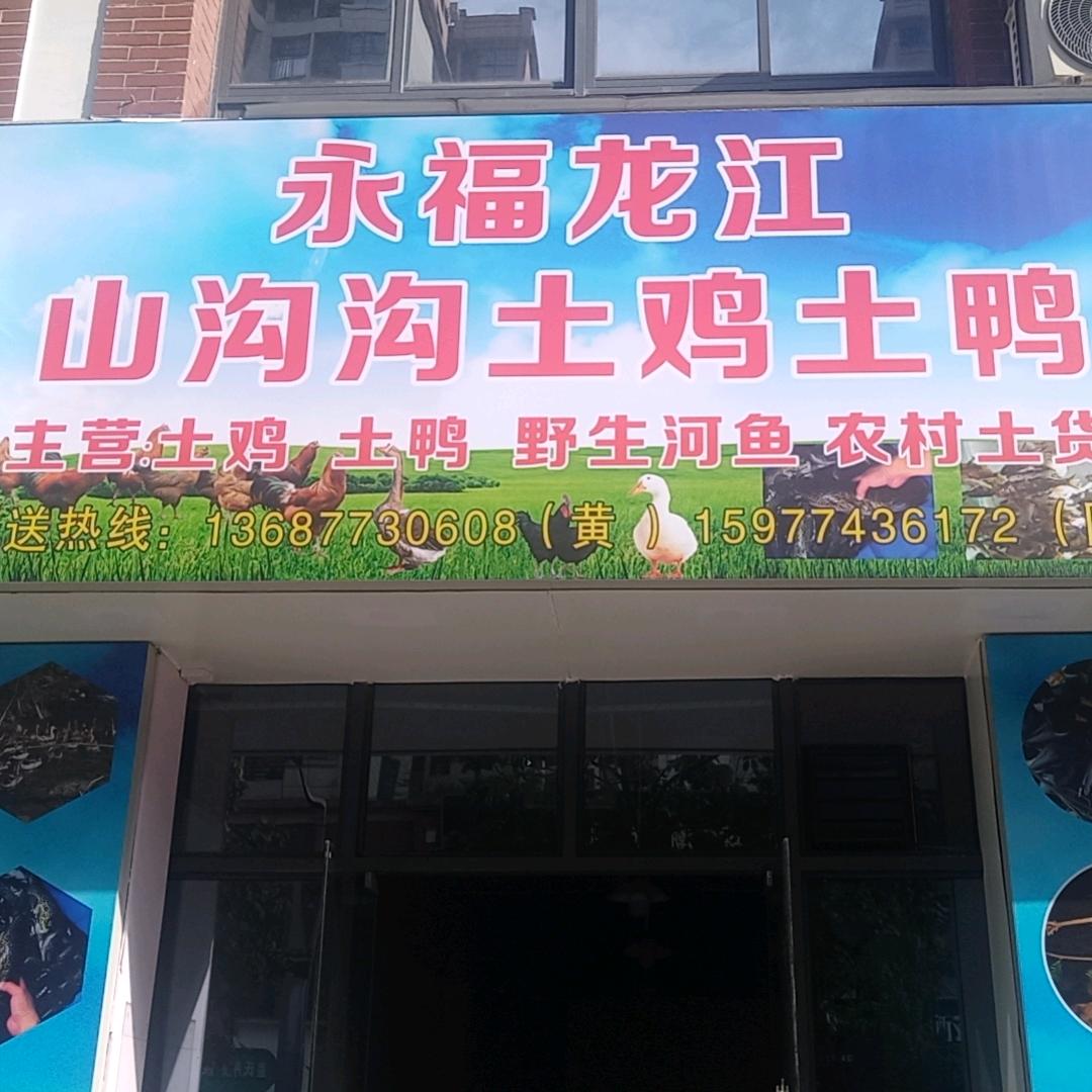 永福龙江山沟沟土鸡鸭