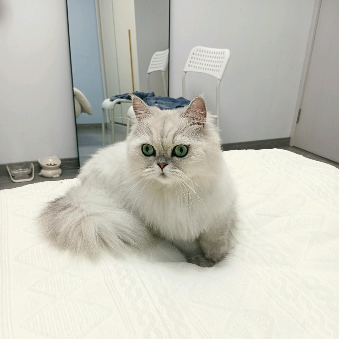 关注我 记录离婚后的生活(必回关)