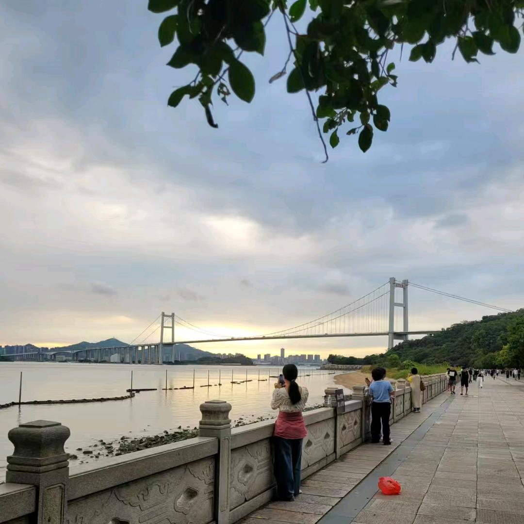 西红柿🍅炒番茄