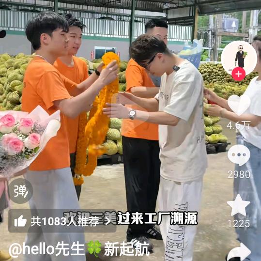 罗呗呗