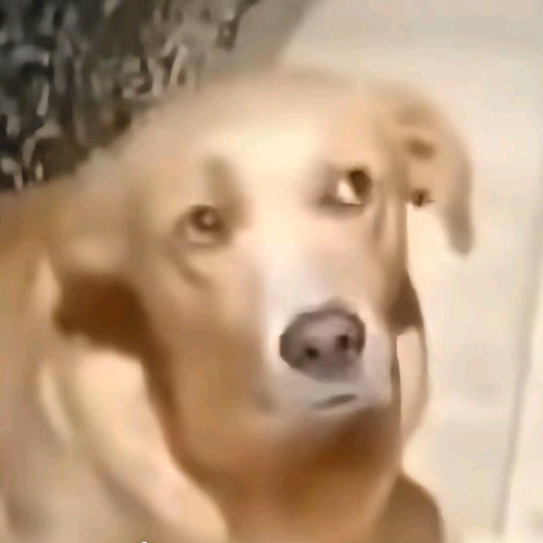 ── 展开 1.7w条回复 ⌵