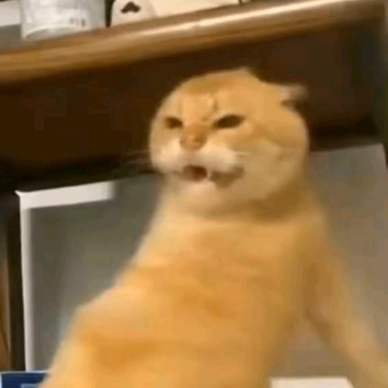 艺鸣（三角洲跑刀）