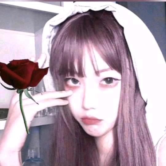 花落清凉梦清幽🌹🌹🌹🌹