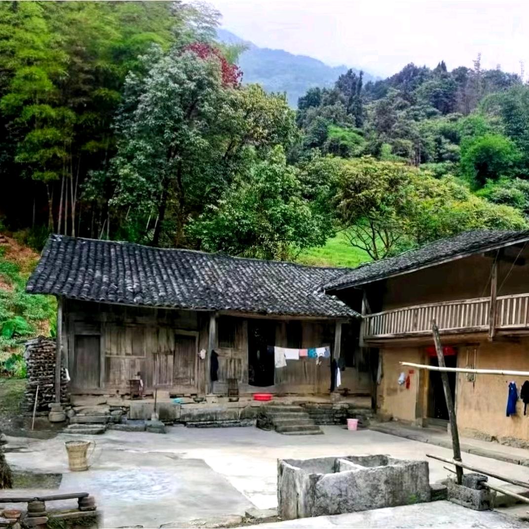 李老板的李5