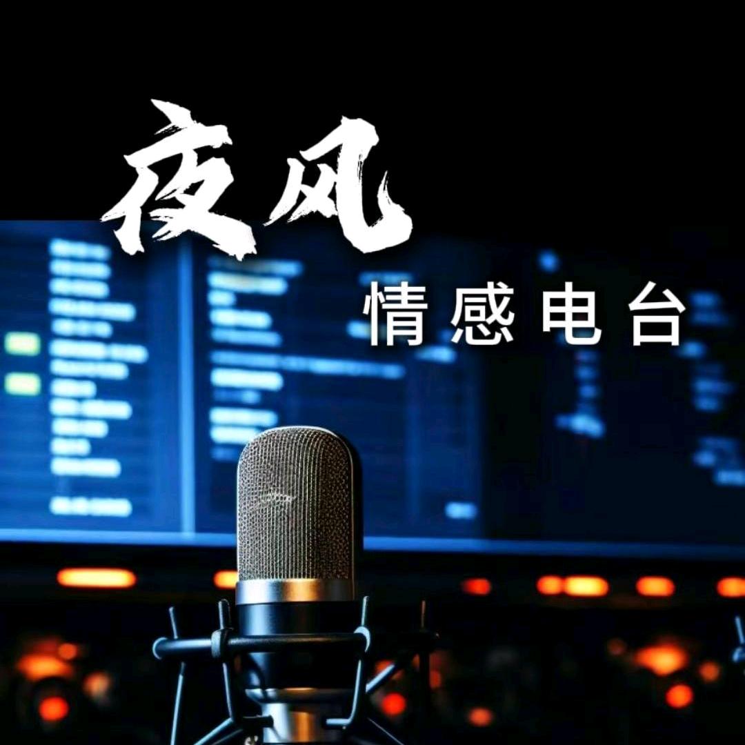 夜风~情感电台