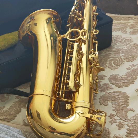 岁月如歌🎼🎼