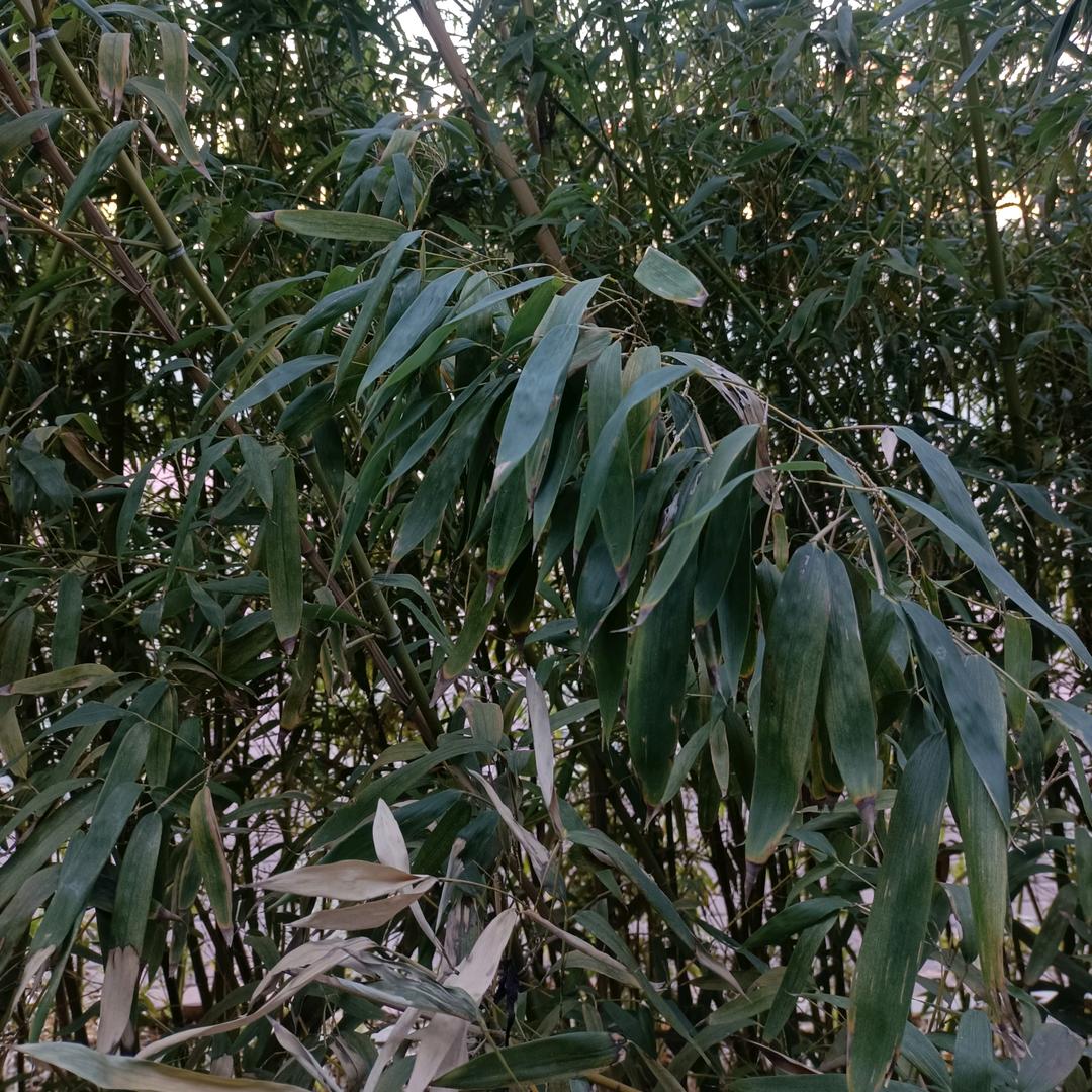 @萍水相逢