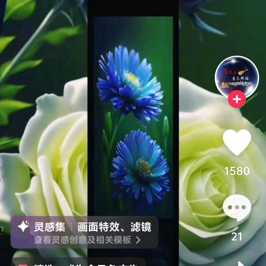时光清浅
