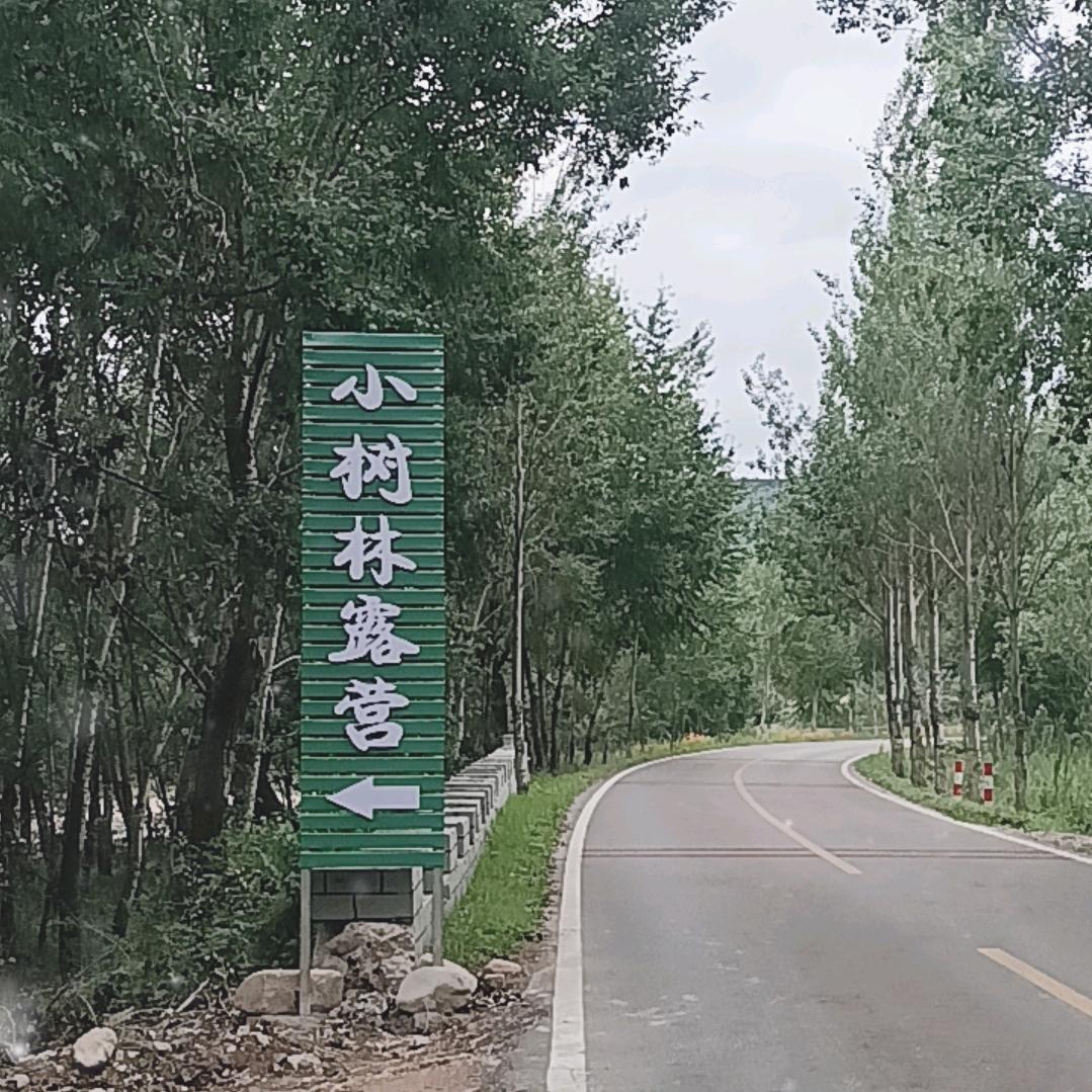 本溪小树林露营   （必回关）