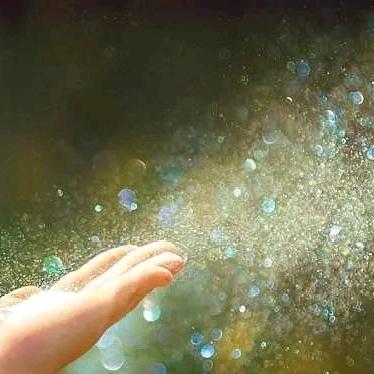 @王后余生不将就🐮🐮