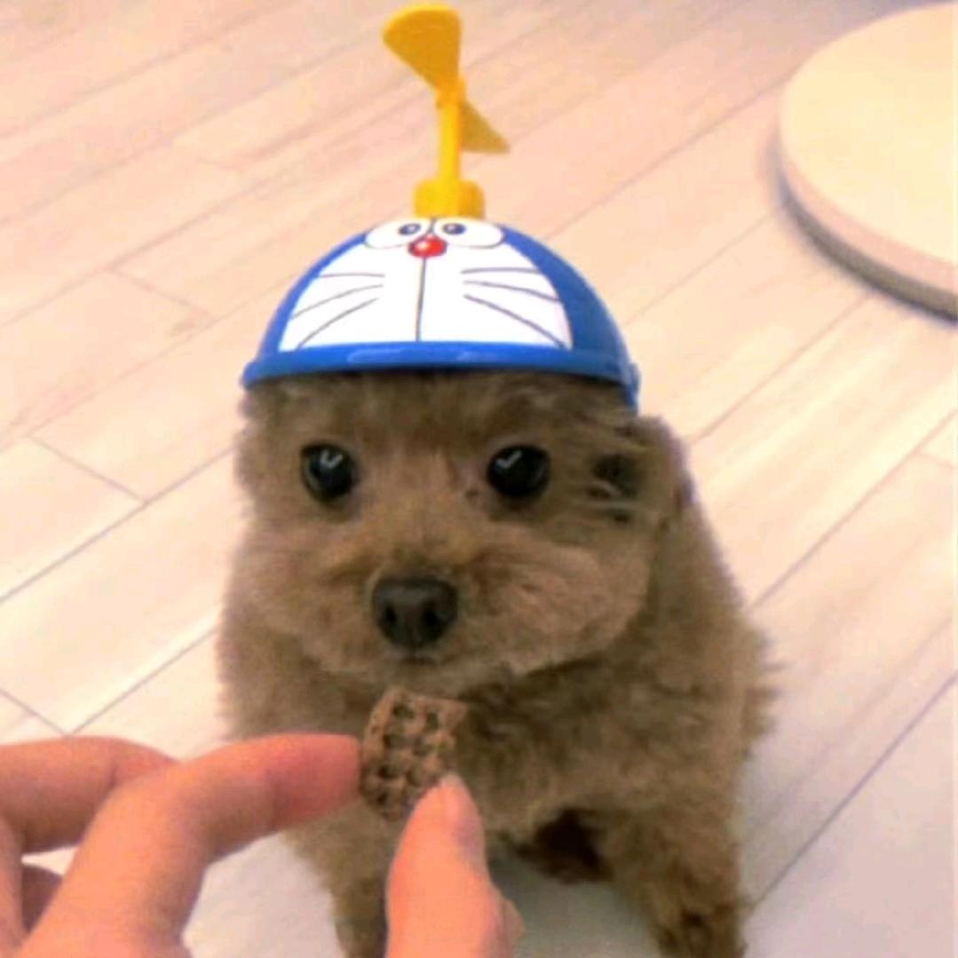 星渺