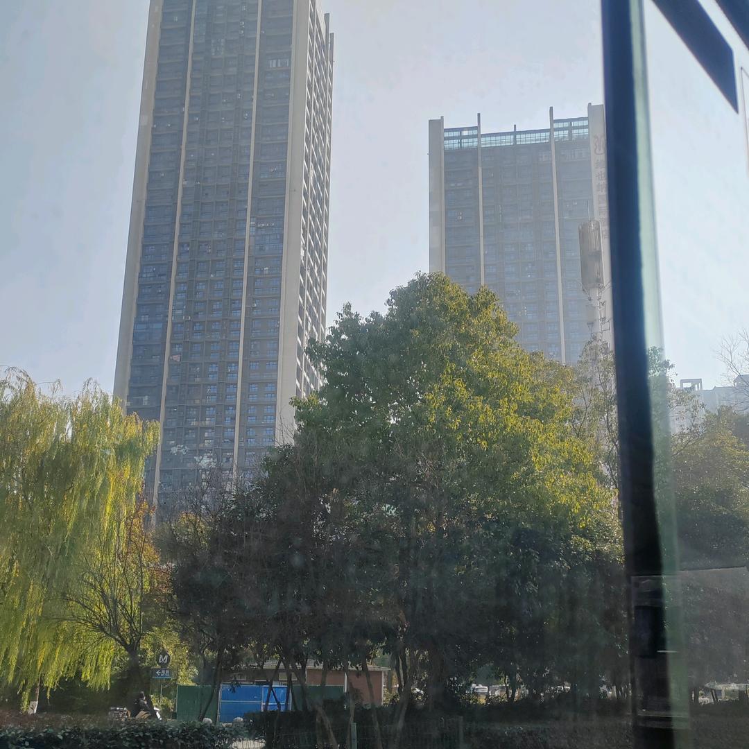 醉入凡尘不买醉