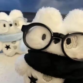 述冬雪