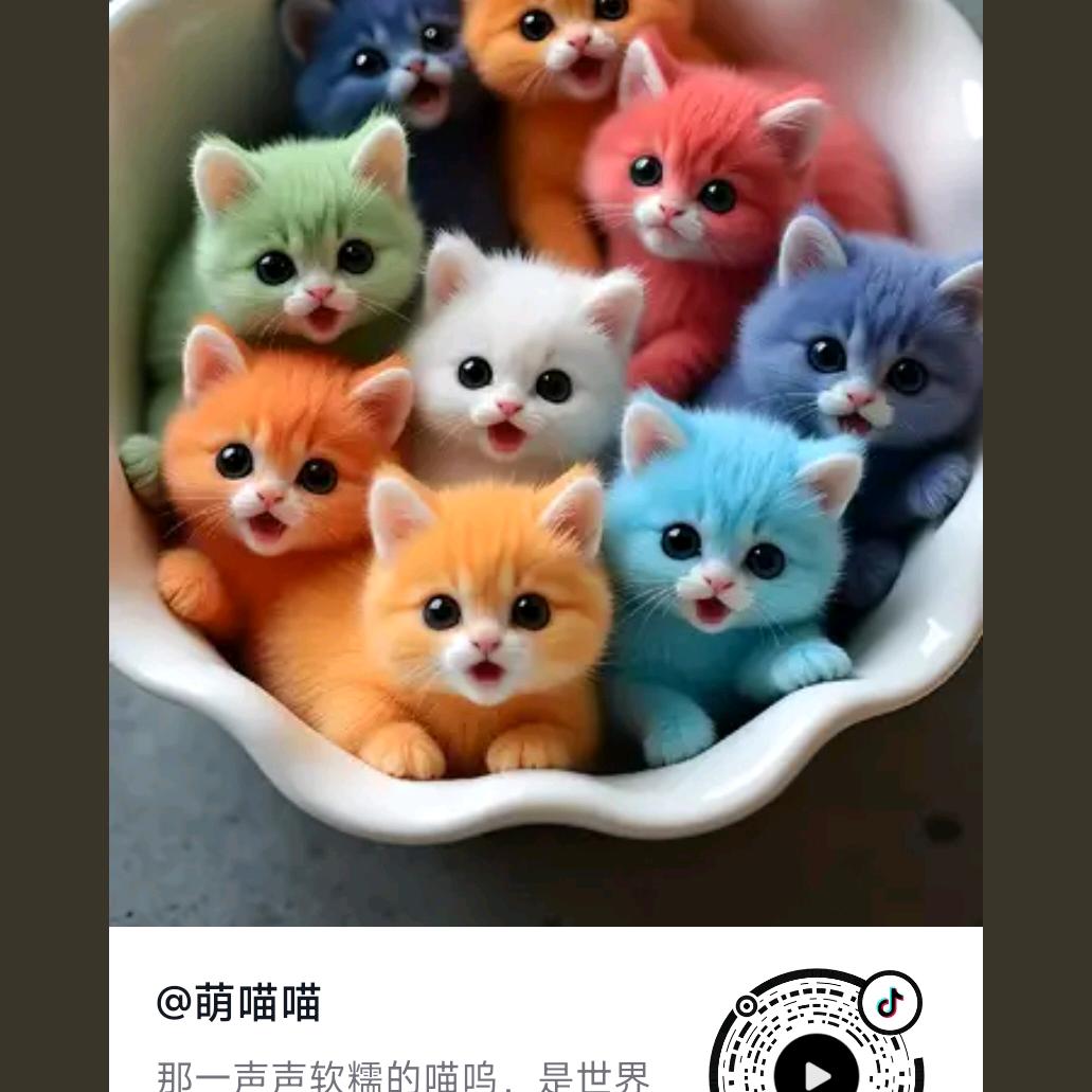 陈大姐