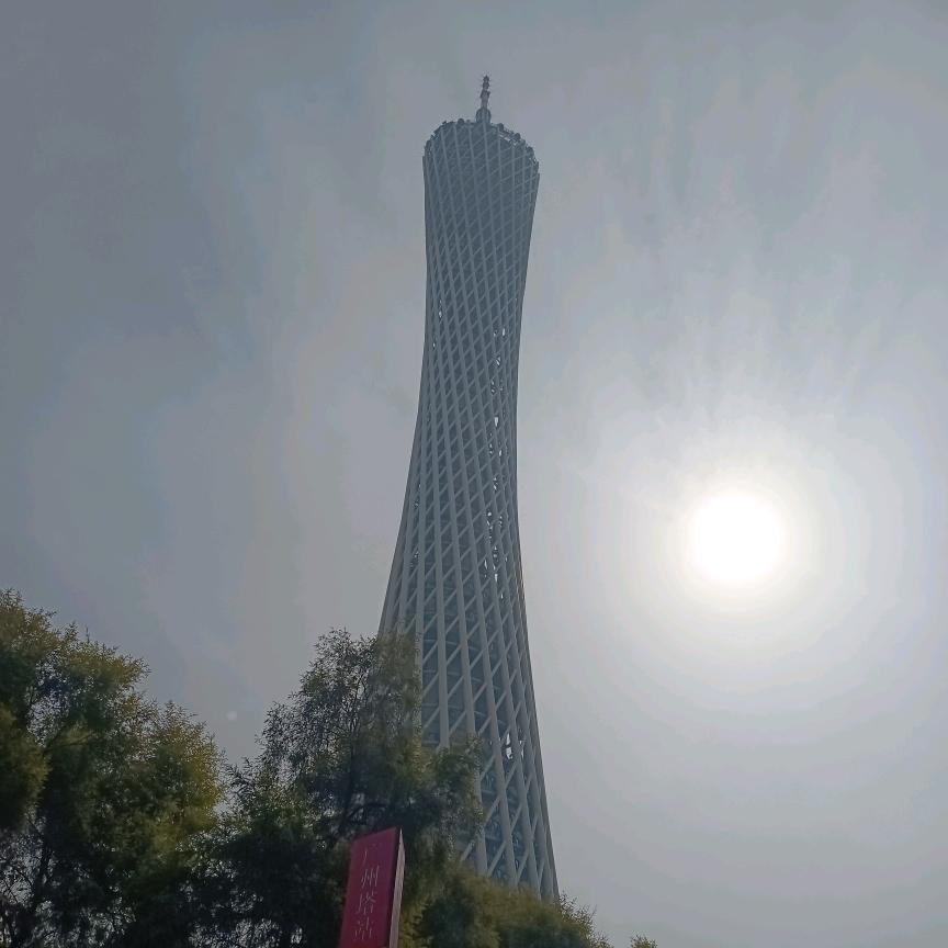 傅雪琪