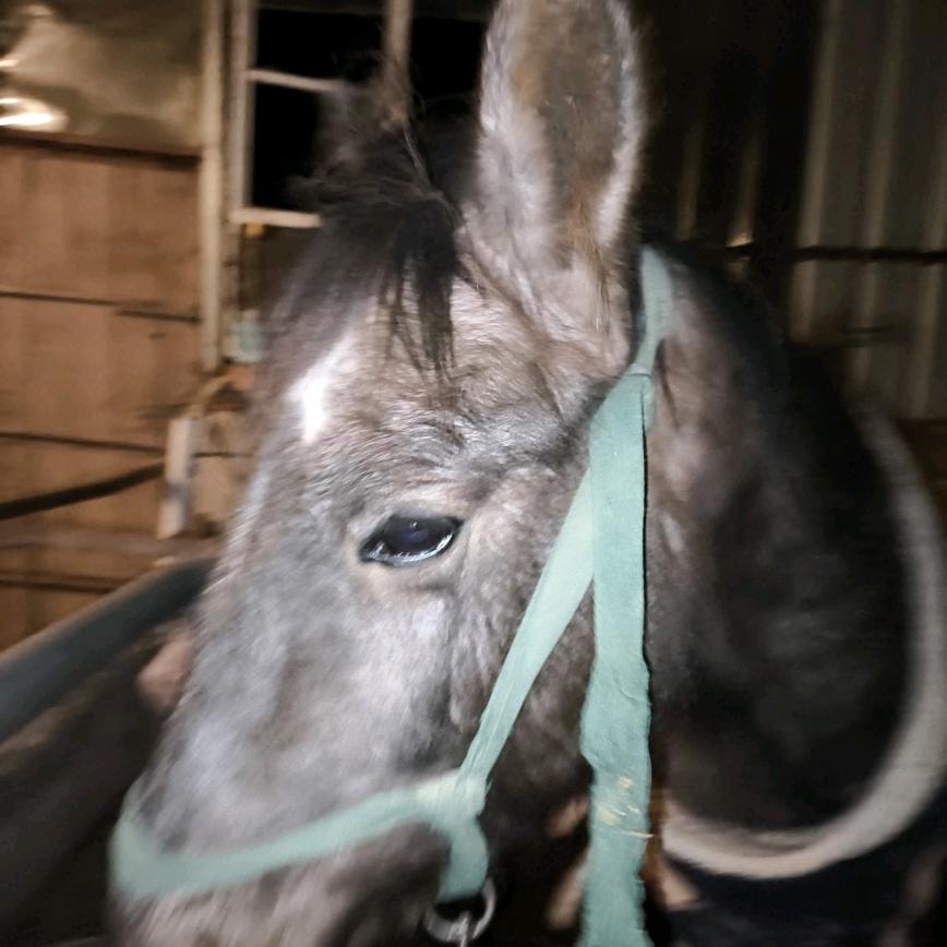 野男孩🤠《阿勒泰》