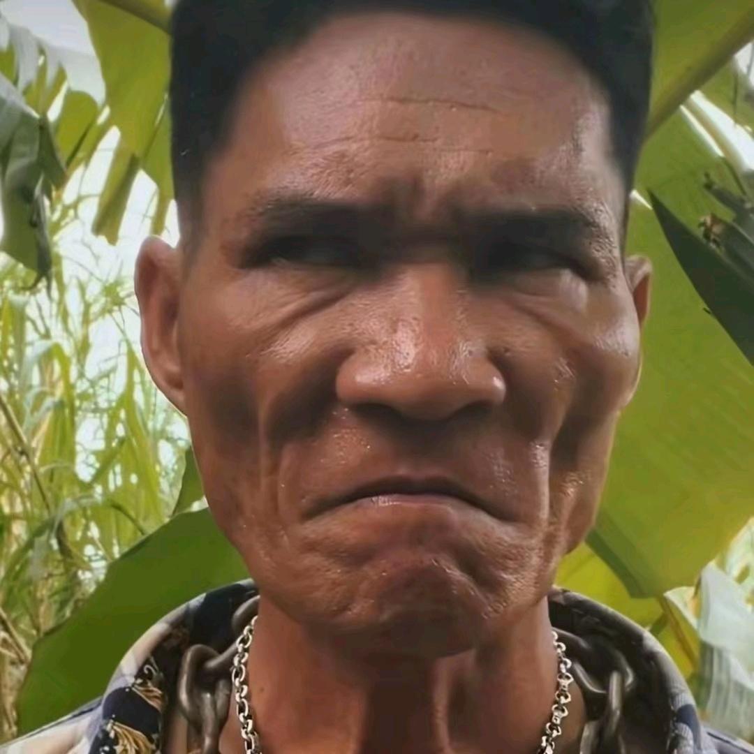 陈怼怼
