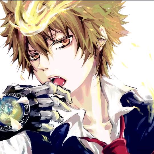 🐟（推荐的是我老婆