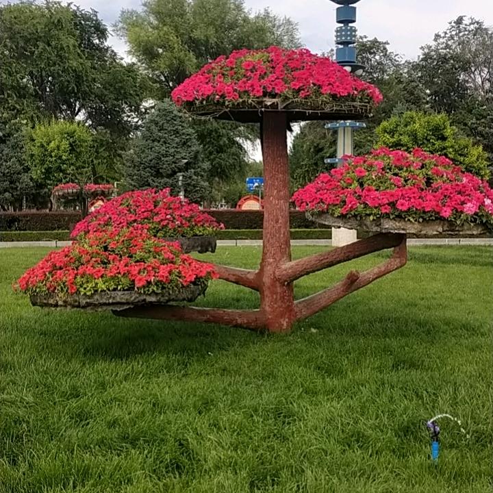 宁静致远!