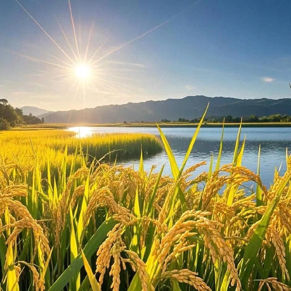 富屿同频