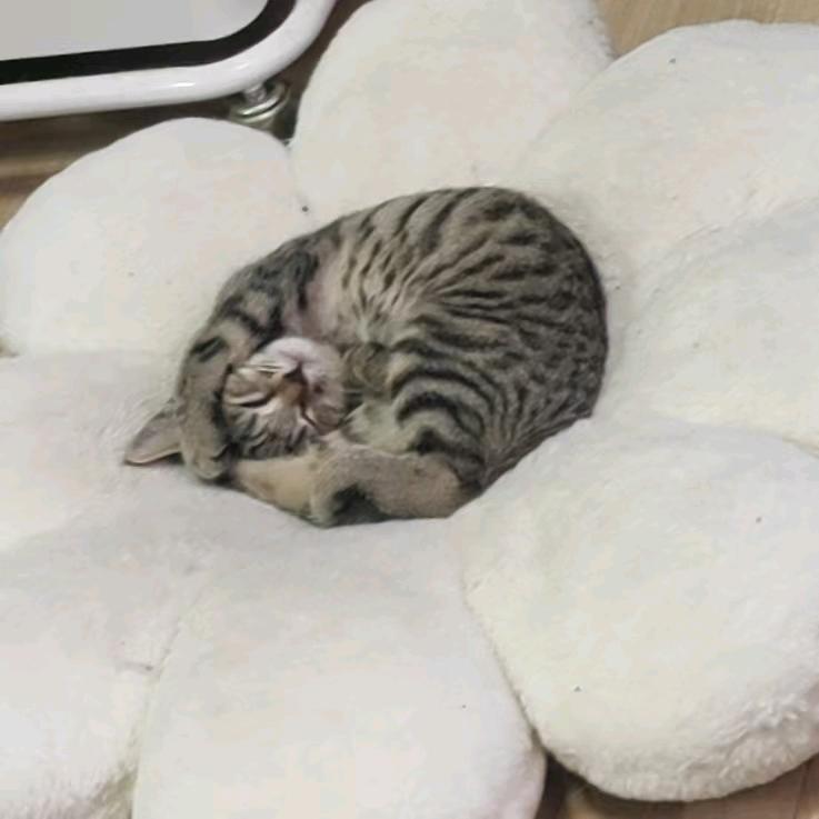 天龙八部怀旧—大浪