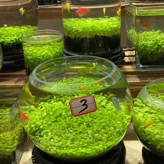 墨宝桌面摆件