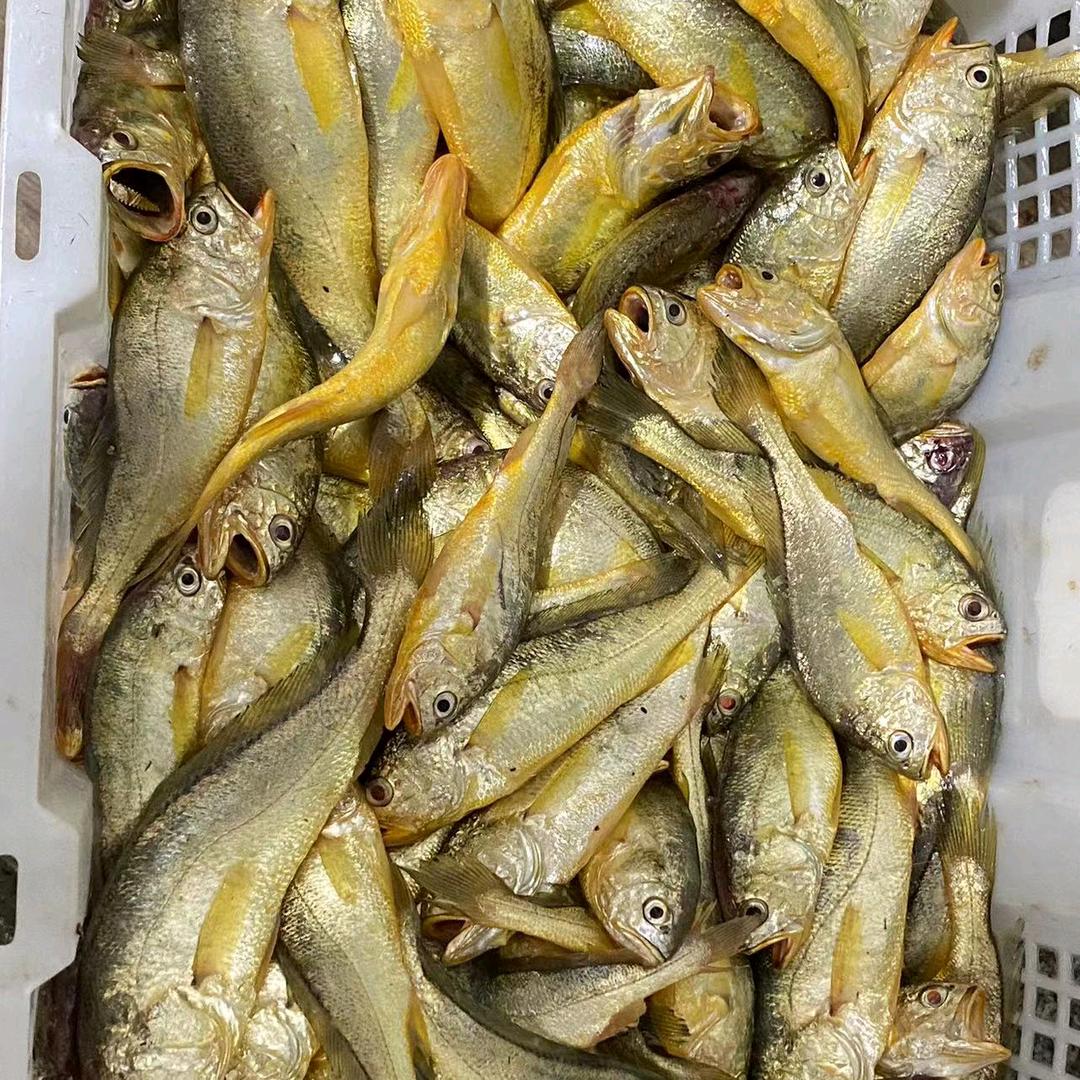 海海人生