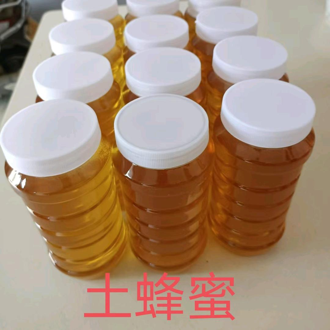 野生土蜂蜜