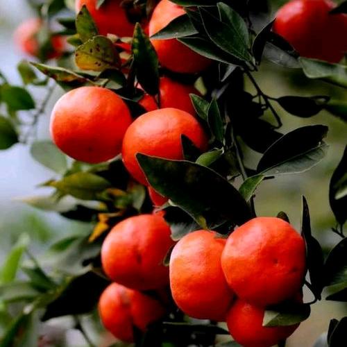 上帝偏爱奔跑者✨