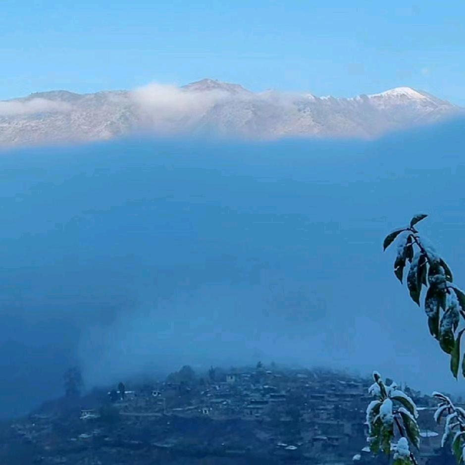 王丰