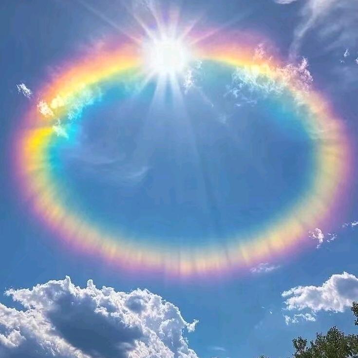 雲家族