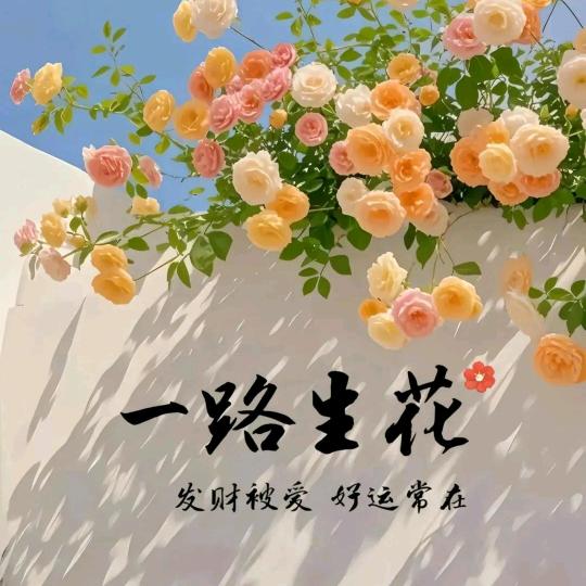 一路生花🌞