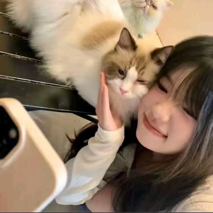 @阳光梦中游🍋