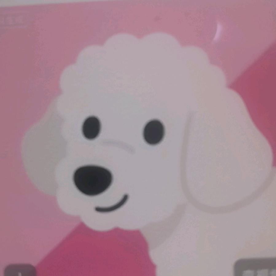 长毛狗狗
