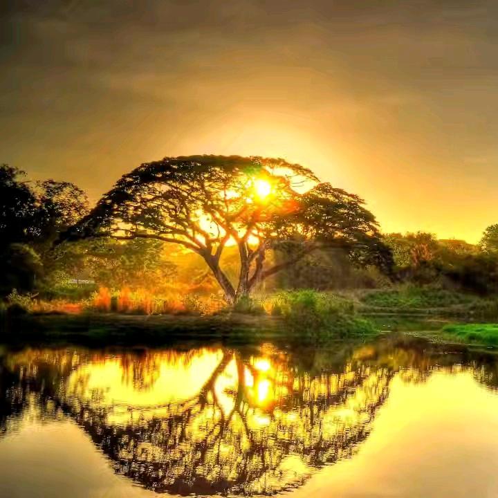 莊哆哆福鼎肉片的摆摊日记