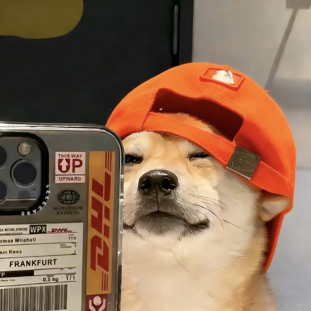 雾里