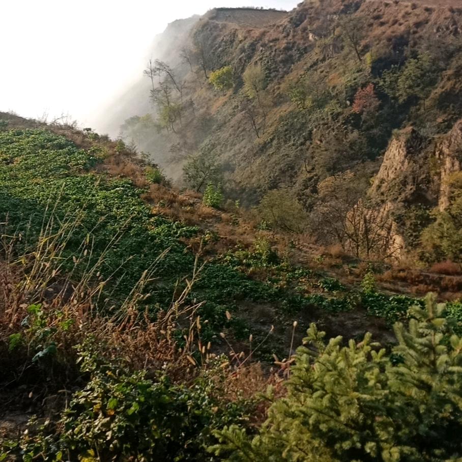 芮城顺通驾校总校管教练